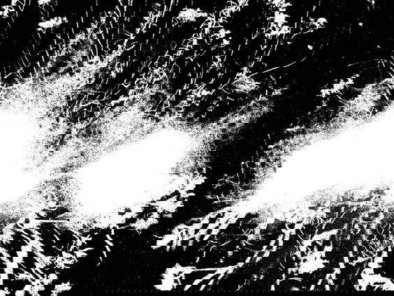 Kunstenares Tinkebell maakt kunst van Tata-stof