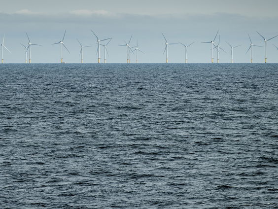 Onderzoek naar impact windparken op zeeleven
