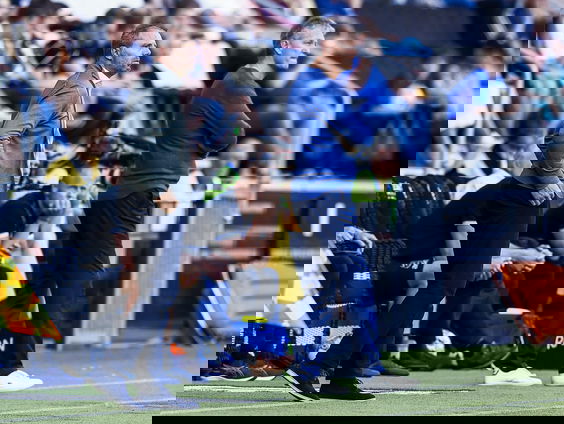 Een pluim voor Maurice Steijn