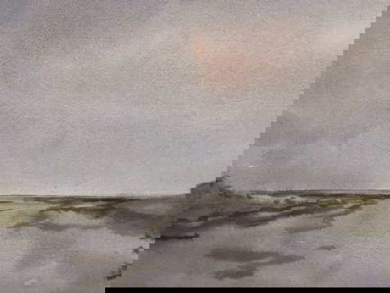 Waddenschilder Geurt Busser, 35 jaar actievoerder