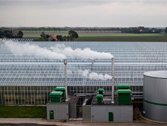 Stand.nl: 'Het bedrijfsleven moet nu zelf de broek ophouden'