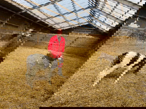 Een ochtend langs bij duurzame veehouder Boer Joep