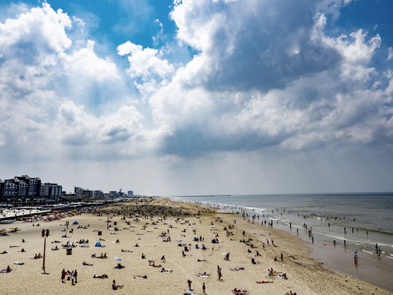 Hoe schadelijk is smog?