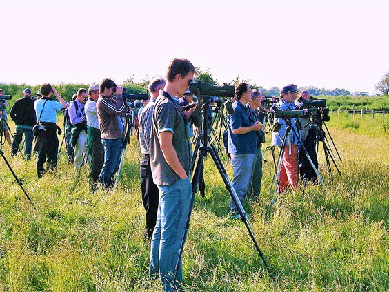 Schrijfster Debby Doodeman deed onderzoek naar vogelaars