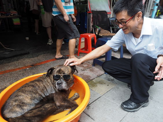 Bescherm je huisdieren tegen de hittegolf