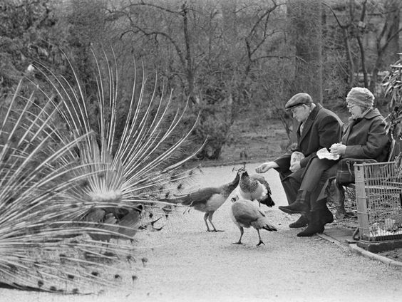 Favoriete plek: bij opa en oma