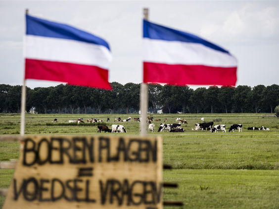 Mogen we de omgekeerde vlag gebruiken als teken van protest?