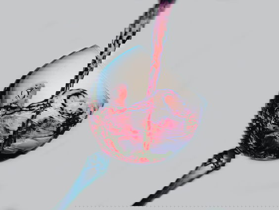 Zwarte-bessenwijn, een delicatesse uit Borssele