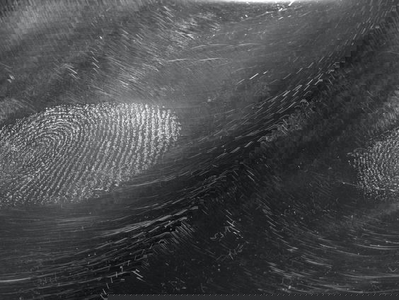 Forensisch expert John Pel schreef het boek 'Sporen liegen niet'