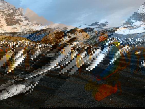 Nog één land en dan is Henk Vinke in elk land geweest