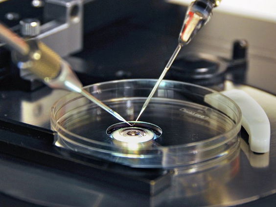 Steeds meer zaken van laboranten die kinderen verwerkten met eigen zaad