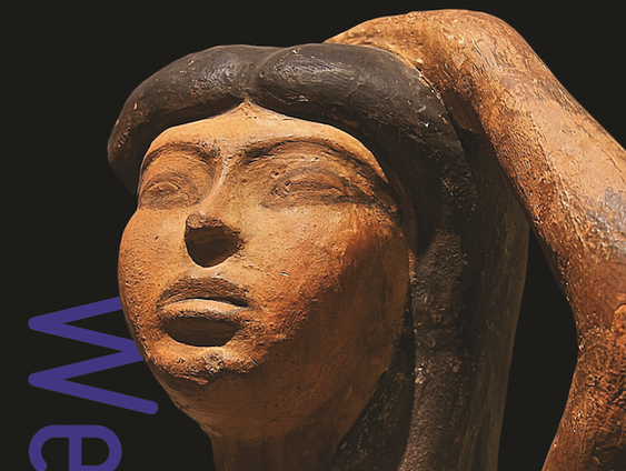 Weduwen: een nooit vertelde geschiedenis