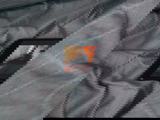 Hoe een omstreden Dordtenaar porno legaliseerde