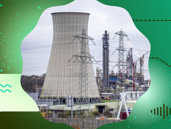 Pointer Regio: De giftige Maas