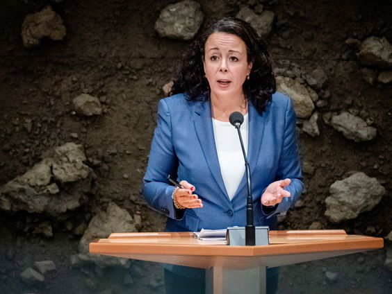 De Vraag aan Den Haag: wie bepaalt welke kunst er in de Tweede Kamer komt te hangen?