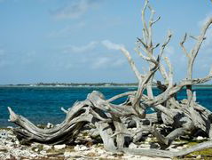 Bonaire dreigt door zeespiegelstijging gedeeltelijk onder water te lopen