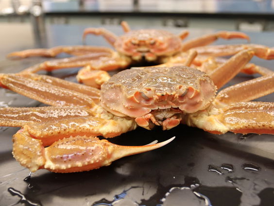 Buitenland Uitgelicht: Alaska