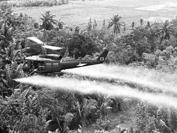 De oorsprong van het begrip ecocide