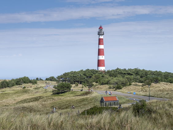 Problemen met exotische planten op Wadden