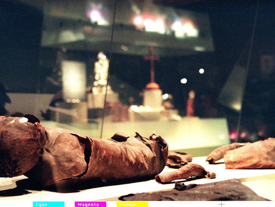 Wat we kunnen leren van mummies