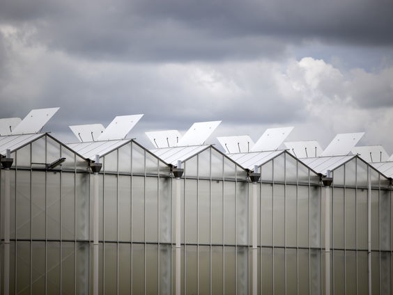 Hoe moet je arbeidsmigratie aanpakken in Nederland?