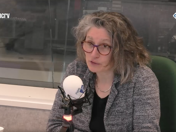 Het Taalloket: Roos de Bruyn