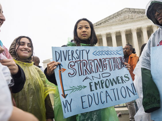 VS schaft 'Affirmative Action' af