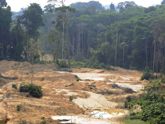 Braziliaans regenwoud gered vanaf 2030, als er dan nog iets te redden valt