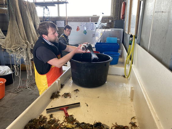 Het Uitzendbureau: veranderende vispopulatie bij Texel