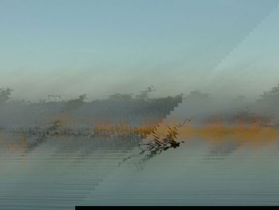 Water Naardermeer komt in balans