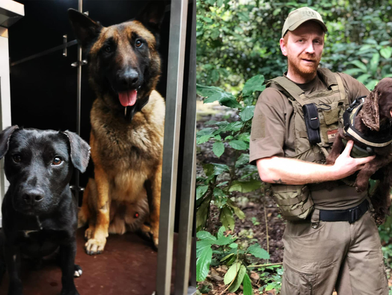 Speurhonden tegen stroperij in Zimbabwe