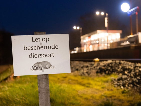 Stand.nl: 'Het is bizar dat treinen niet rijden voor een paar dassen'