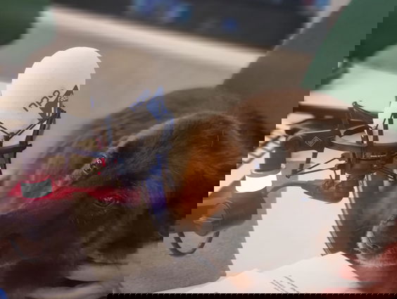 Lisenka Nicolai speurt met haar hond Guusje naar lijken in het water.