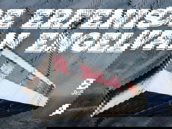 Wat waren de drijfveren van krottenkoning Cees Engel?