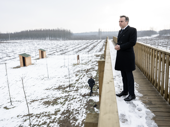 Een bospad zonder bos in Hongarije - door EU-geld?