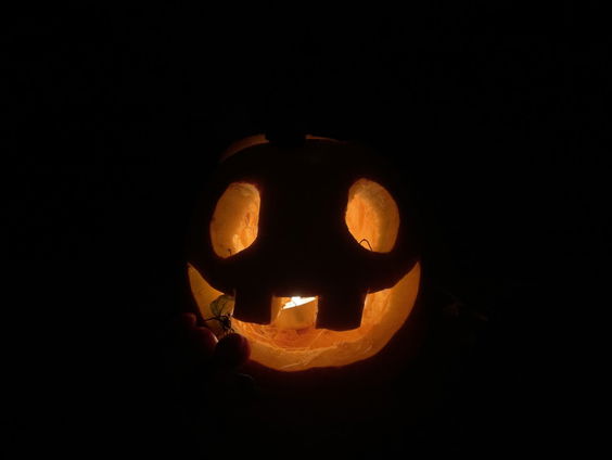 Pompoenkoorts zorgt voor de mooiste creaties