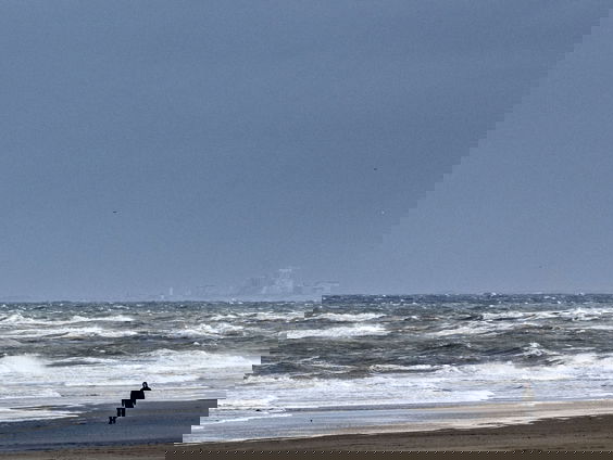 Dankzij klimaatopwarming kunnen we zomaar een spinkrab in de Noordzee vinden
