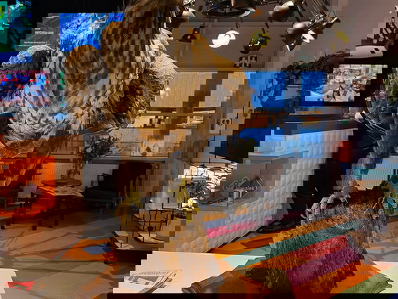 Zeearend heeft (ondanks kwaadwillende mensen) toekomst in Nederland