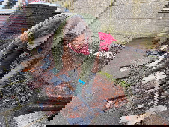 Tegeltuin tot jungle