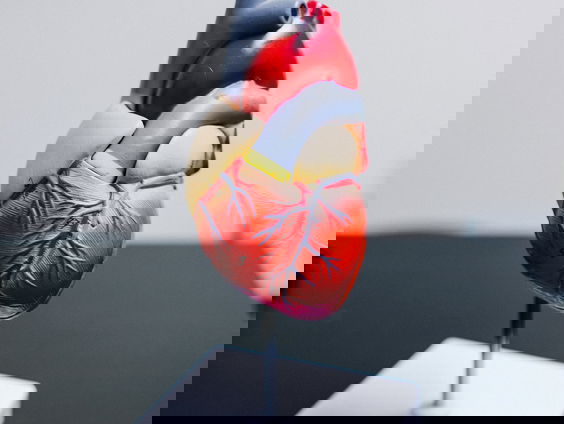 Cardiologen ontvangen miljoenen euro's zonder dat ziekenhuizen dat weten