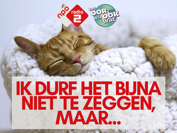 Ik Durf Het Bijna Niet Te Zeggen, Maar ... met Mick van Wely