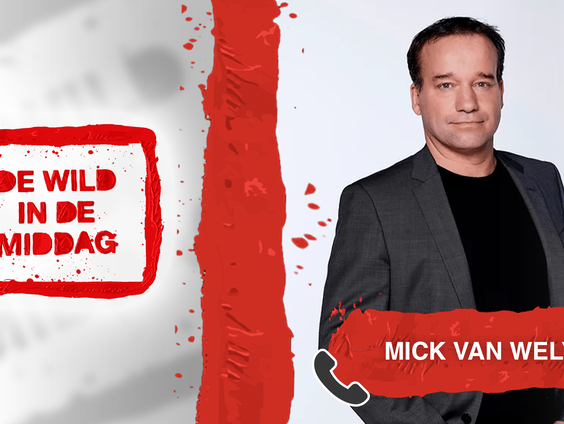 Mick van Wely: 'We zien tientallen moorden per jaar over het hoofd'