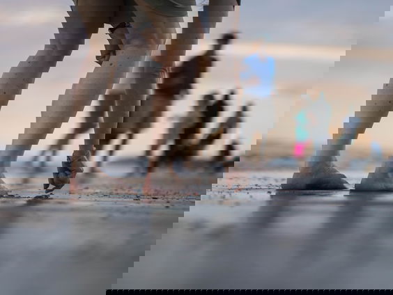 Dit weekend is de allereerste schelpentelling van Nederland