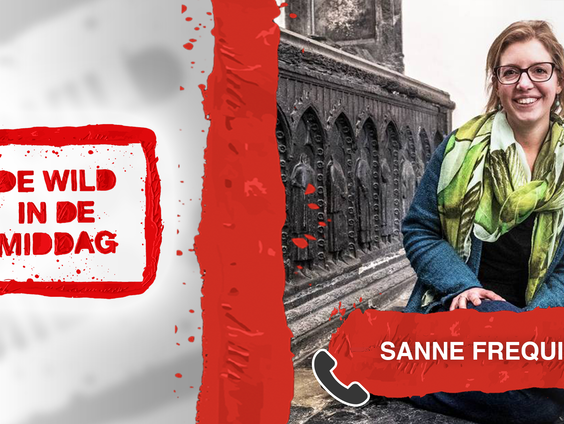 DWIDM: Sanne Frequin over weinig 'vrouwelijke' kunst: "Daar moeten we wat mee"