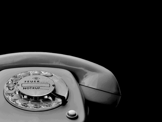 Bijzondere naam: Jeroen en Jesse hebben Pim Mol gevonden