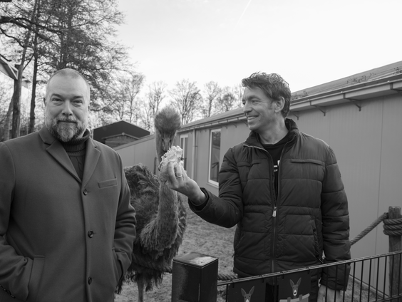 Voorspelstruisvogel Para Patty op tragische wijze om het leven gekomen