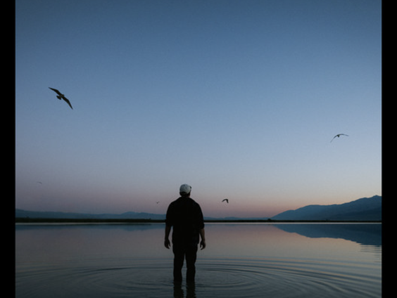 Dotan omarmt zijn roots in nieuwe NPO Radio 2 TopSong Diamonds In My Chest