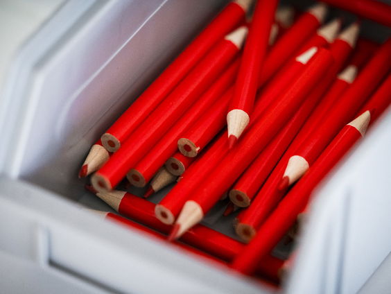 Anita de Jong van de Stemwijzer was maanden bezig met voorbereidingen