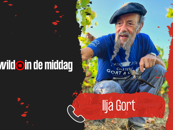 Ilja Gort: 'Het droge warme weer is heel naar'