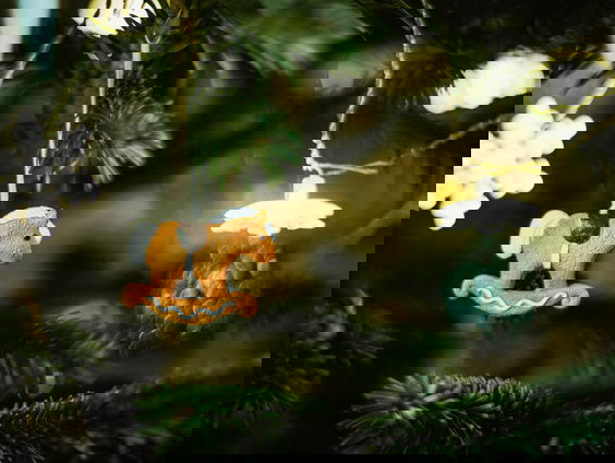 De laatste ronde van het grote #WILDGROEI Jingle Bells-spel!